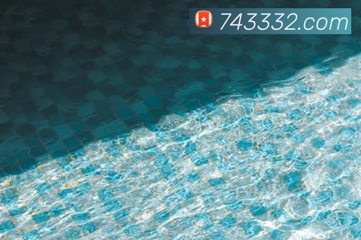 V66体育品牌故事